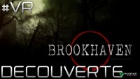 SEUL CONTRE TOUS - The Brookhaven Experiment | GAMEPLAY